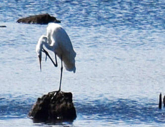 Fairway Lakes Phase 2 - Residential