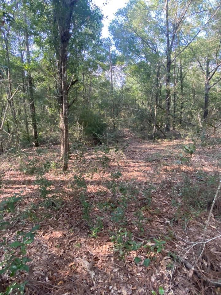 METES & BOUNDS - Land