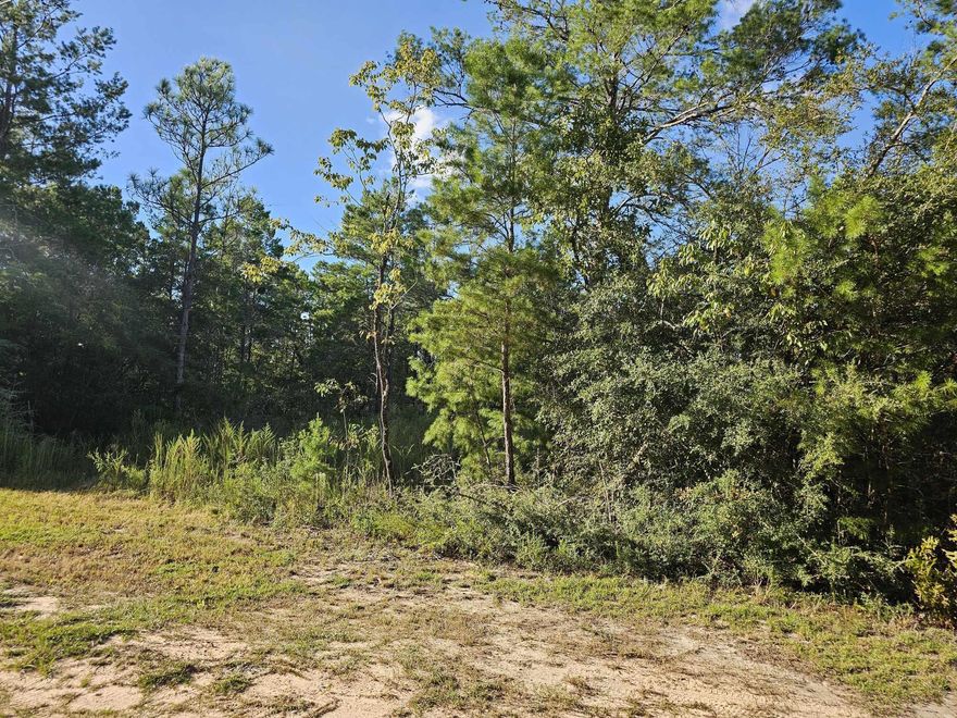 Looking for a lot to make your new home - this lot is the perfect location located just off a paved road this is a great buy.  Power is available as well! Mobile homes allowed.
Additional lot available