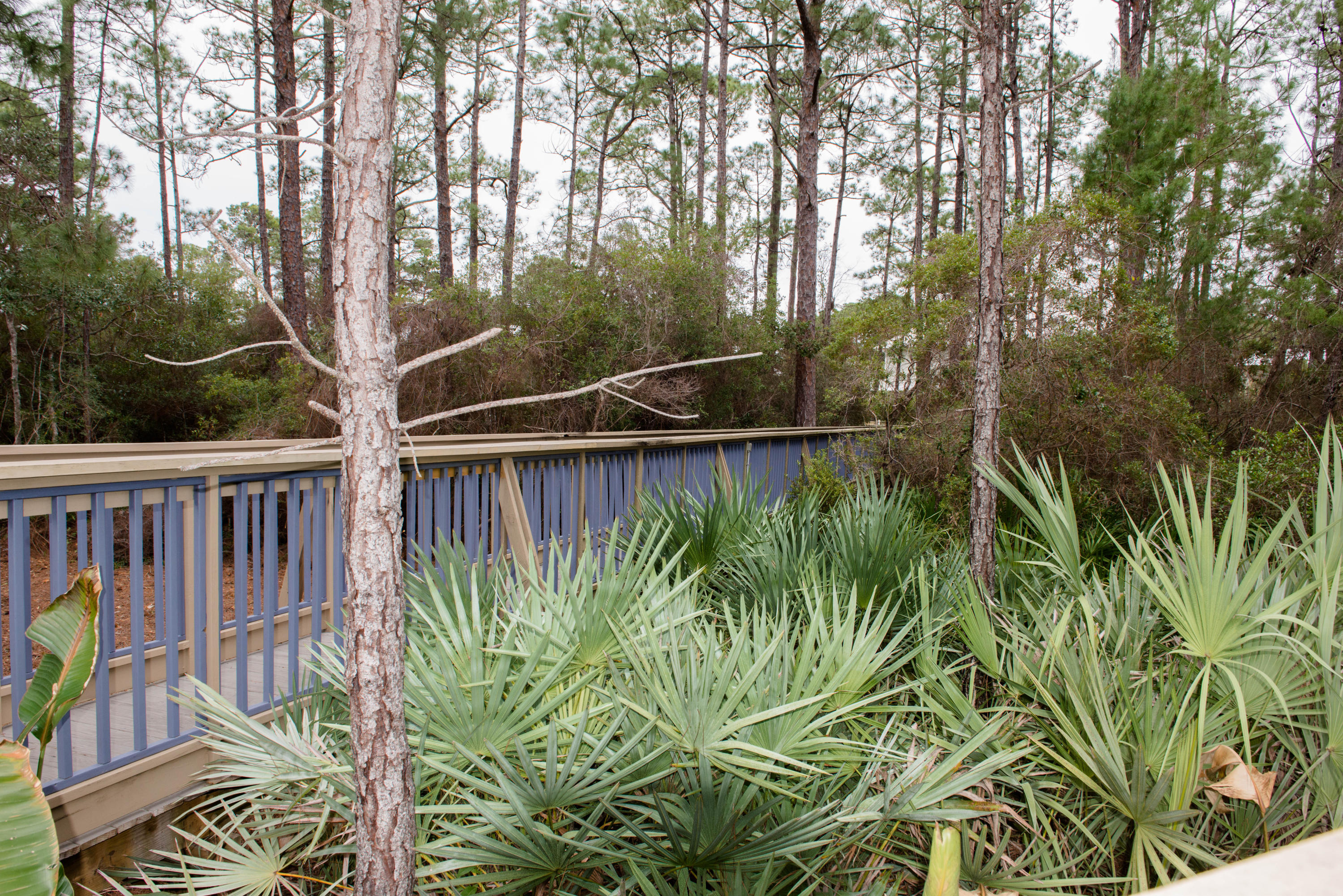 COTTAGES AT EASTERN LAKE - Residential