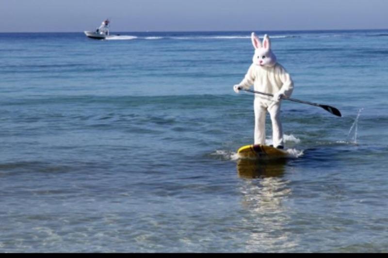 CAPTIVA COVE - Residential