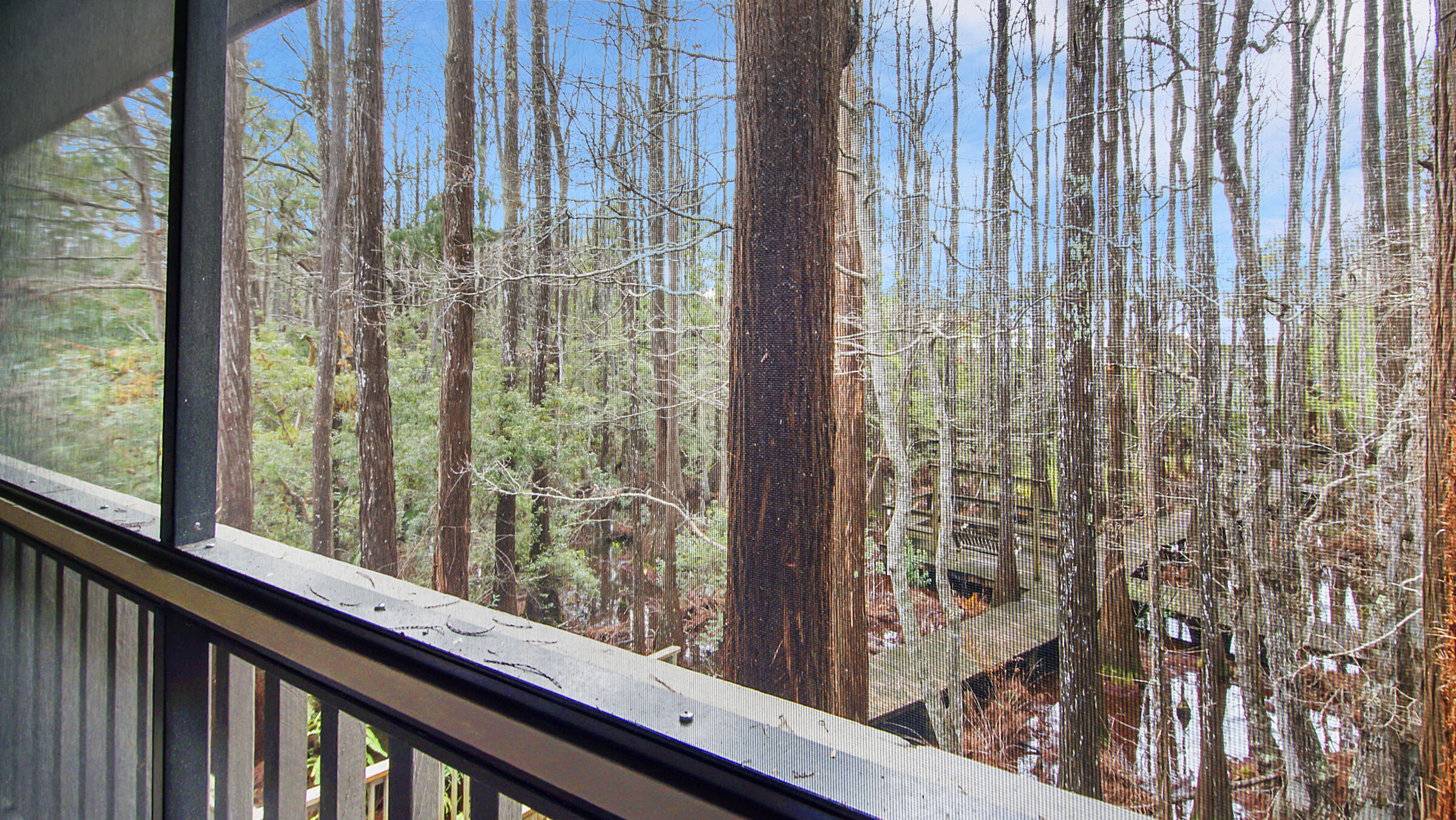 CASSINE GARDENS T/H PH 4 - Residential