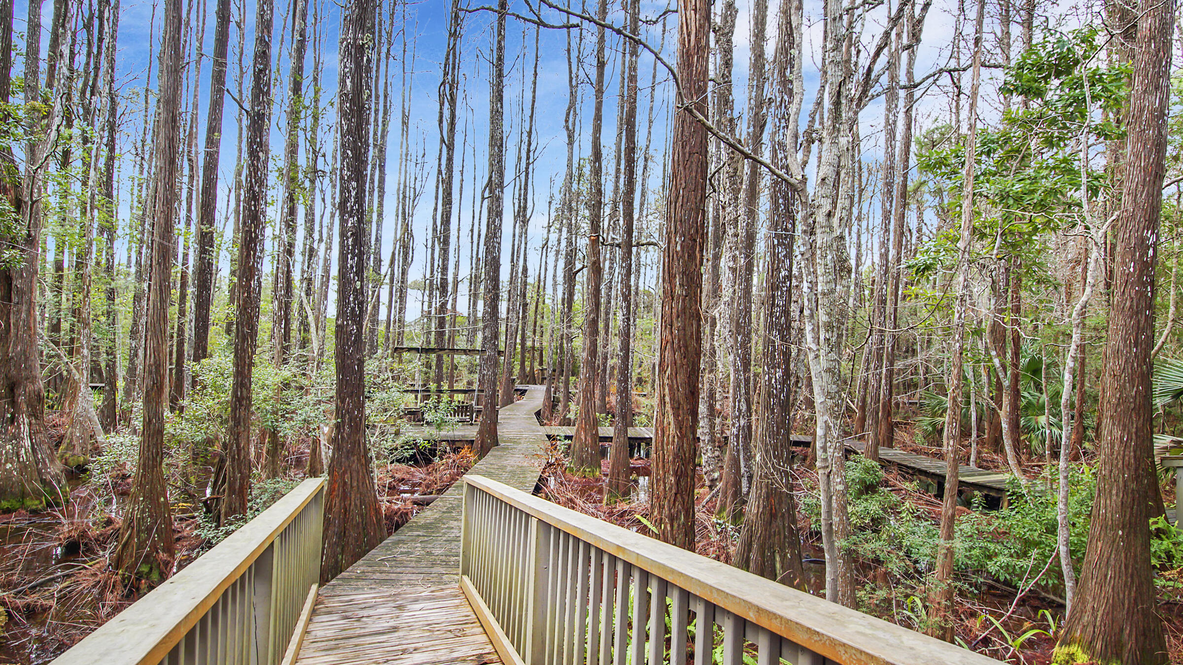 CASSINE GARDENS T/H PH 4 - Residential