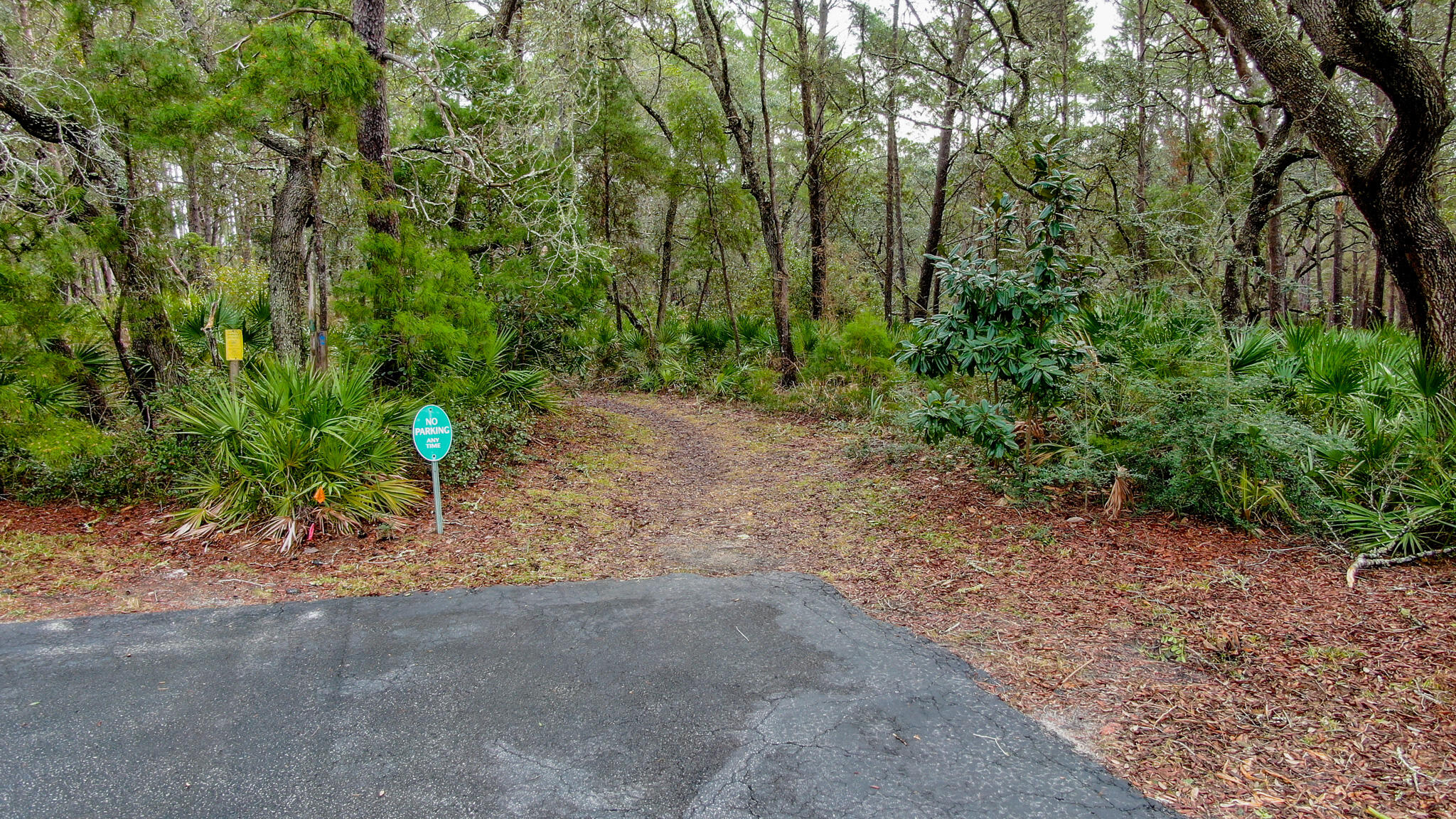 CASSINE GARDENS T/H PH 4 - Residential