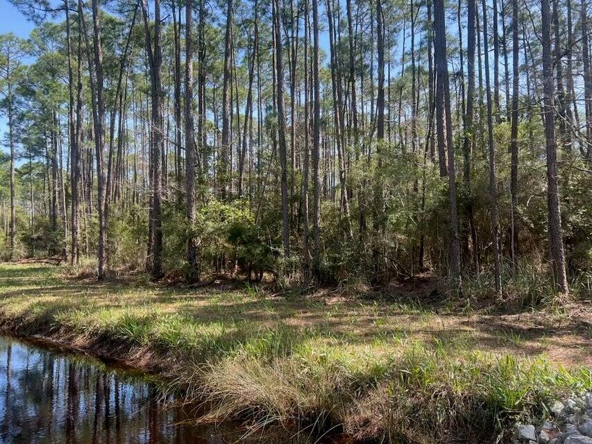 Lot 4 Whispering PInes - Land
