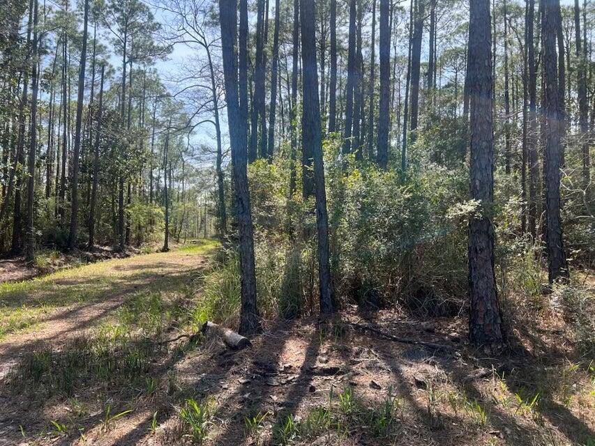 Lot 4 Whispering PInes - Land