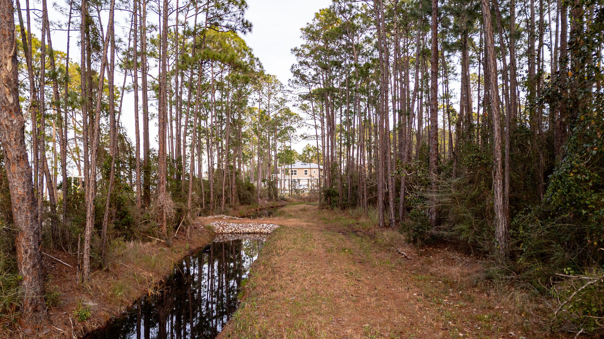 Lot 4 Whispering PInes - Land