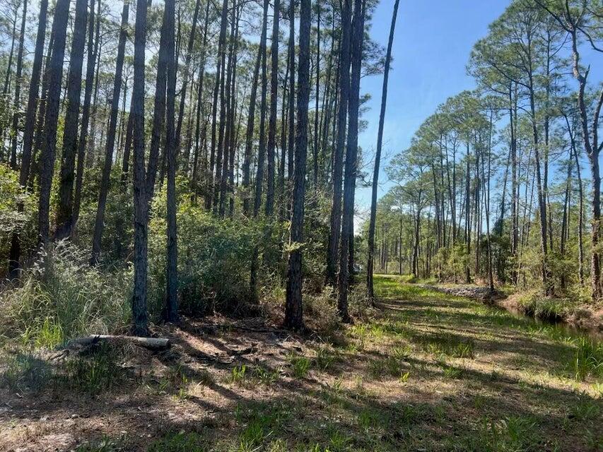 Lot 4 Whispering PInes - Land