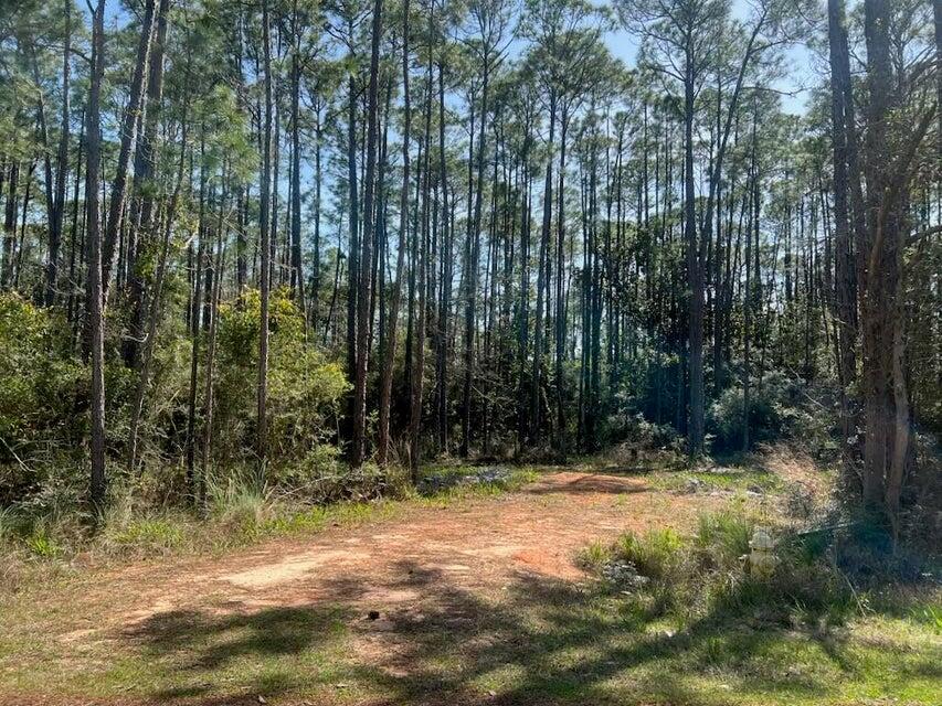 Lot 4 Whispering PInes - Land