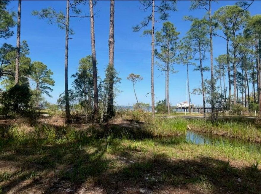 Bay Views!  Wetlands Mitigated and Permits in hand.  You only need house plans and a building permit for your Dream Home!!  The site uplands so no further wetland mitigation is necessary.  This wooded lot is across the street from Choctawhatchee Bay.  Potential forever bay views  with country park across the street.  Over a half acre of land to build your dream home.  Just a short drive to beaches, restaurants and shopping.