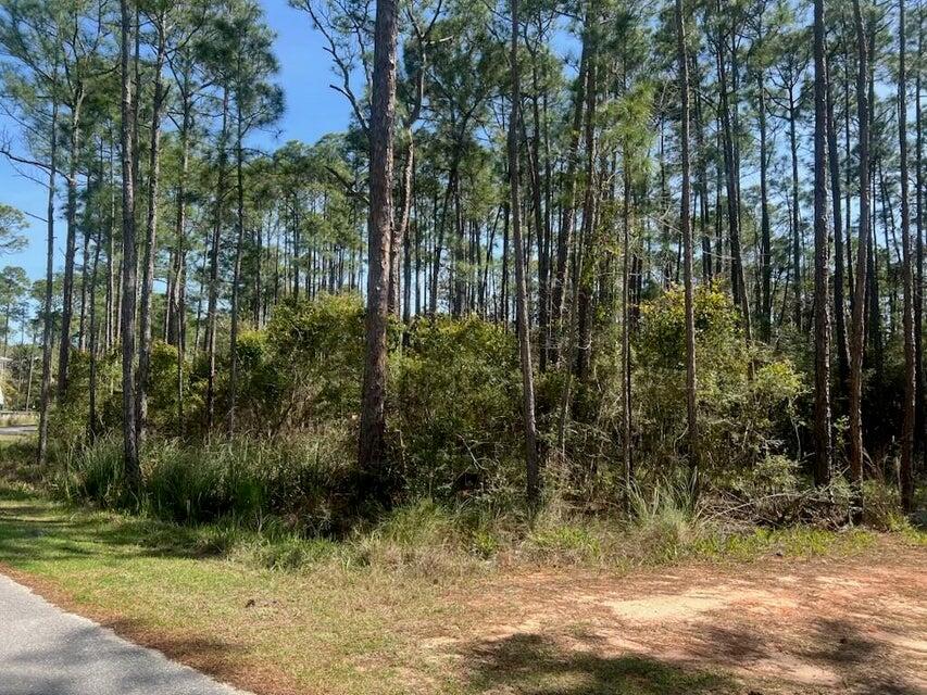 Lot 4 Whispering PInes - Land