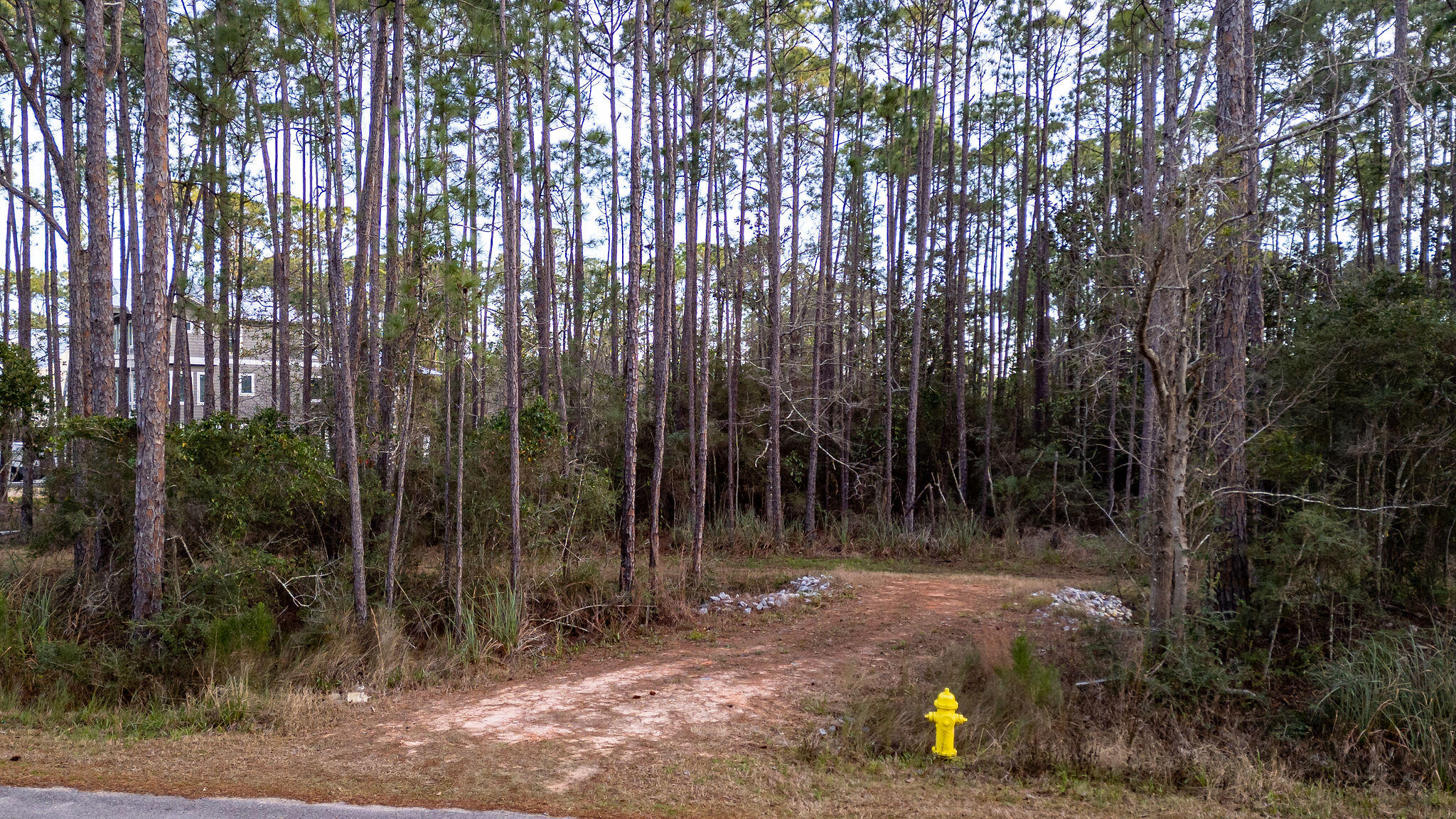 Lot 4 Whispering PInes - Land