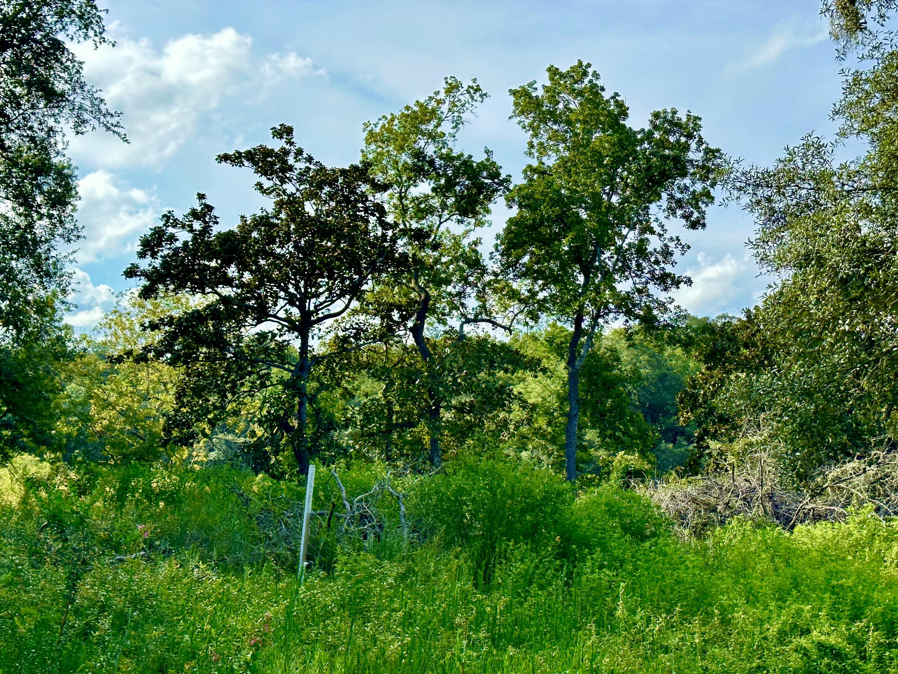 CHIPPEWA - Land