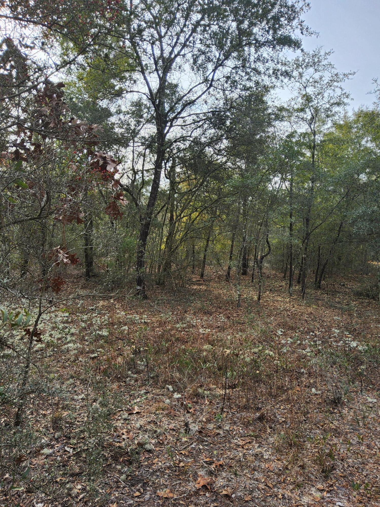 OAKWOOD HILLS UNIT 1 - Land