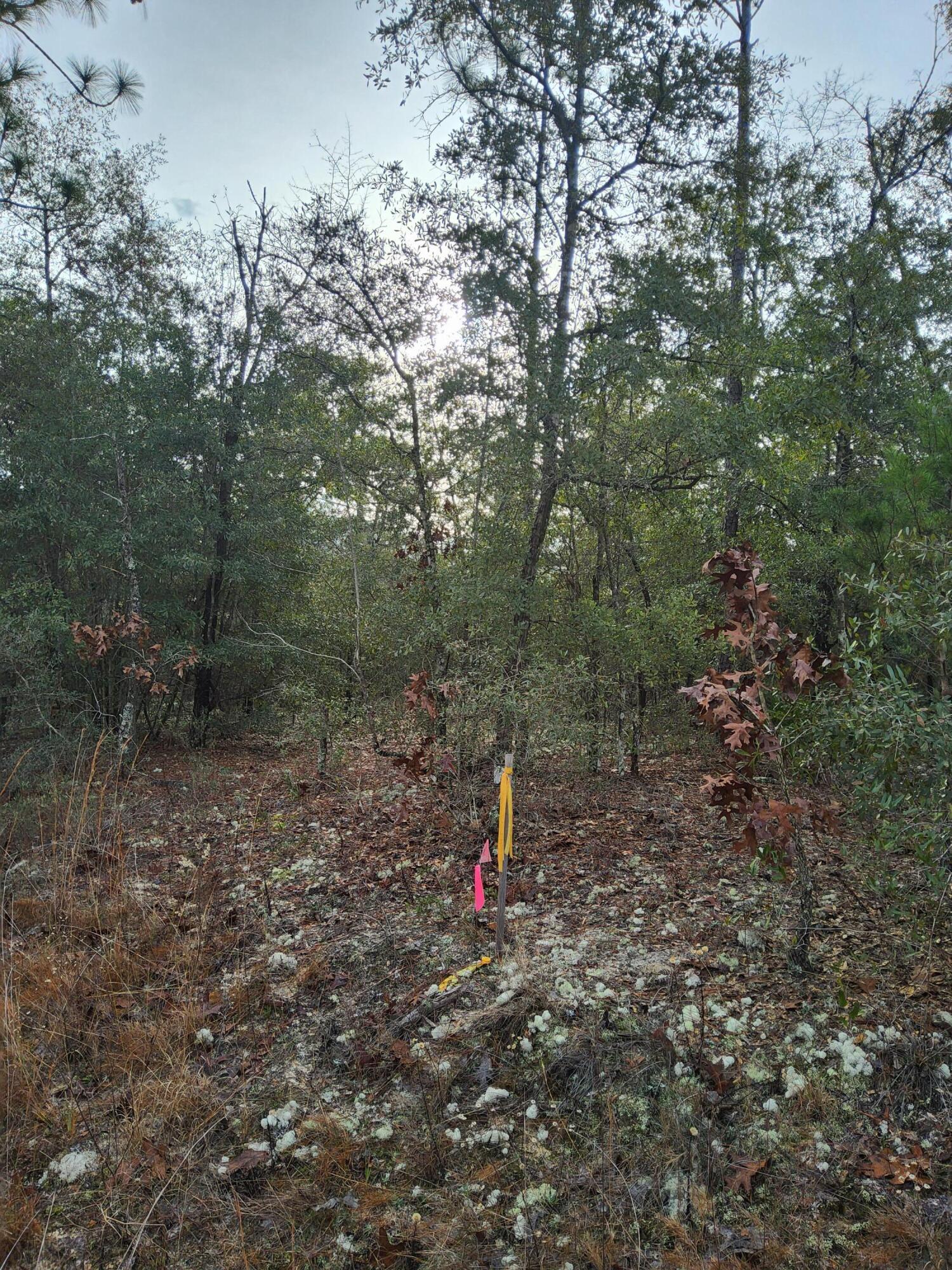 OAKWOOD HILLS UNIT 1 - Land