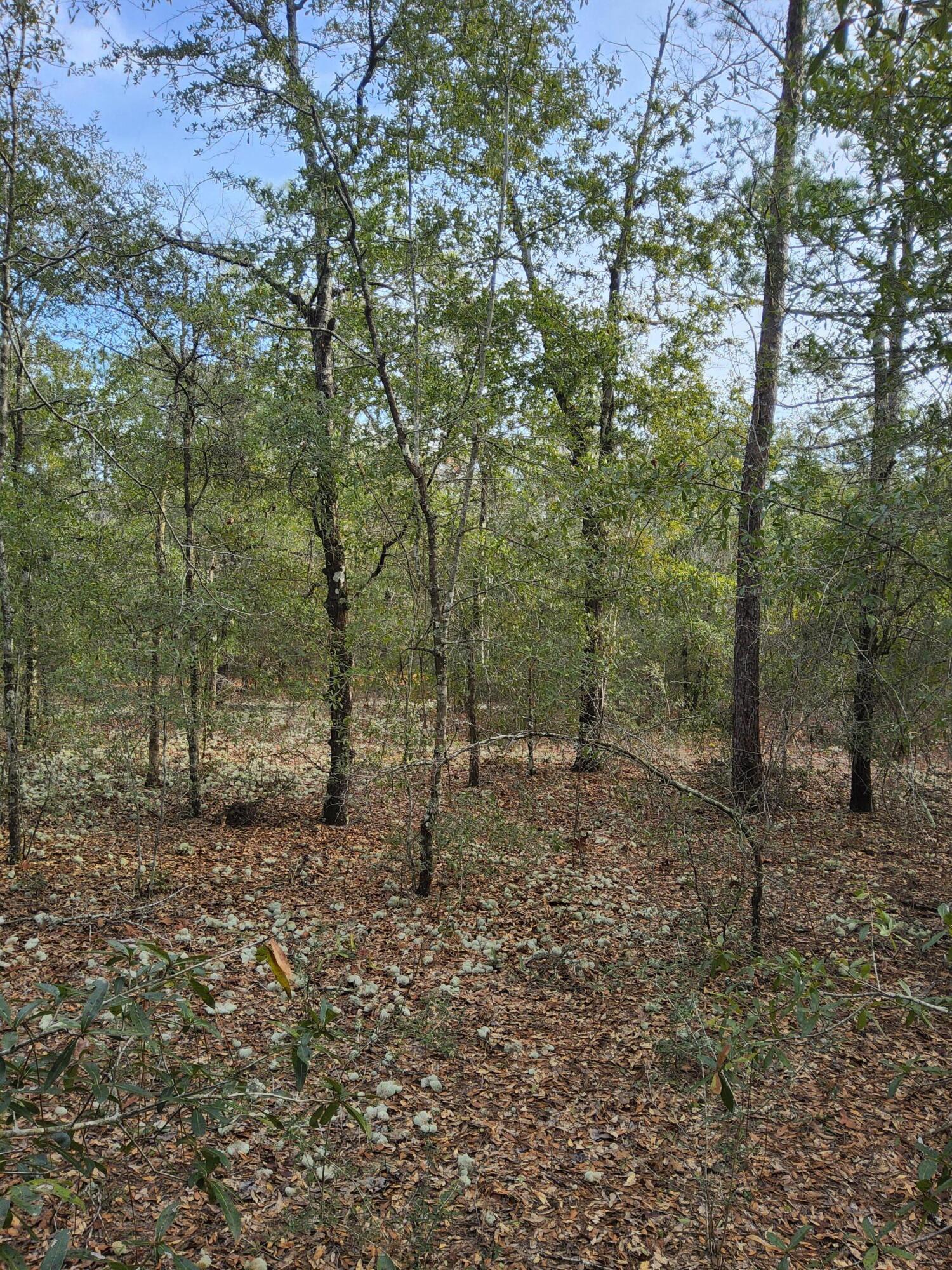 OAKWOOD HILLS UNIT 1 - Land