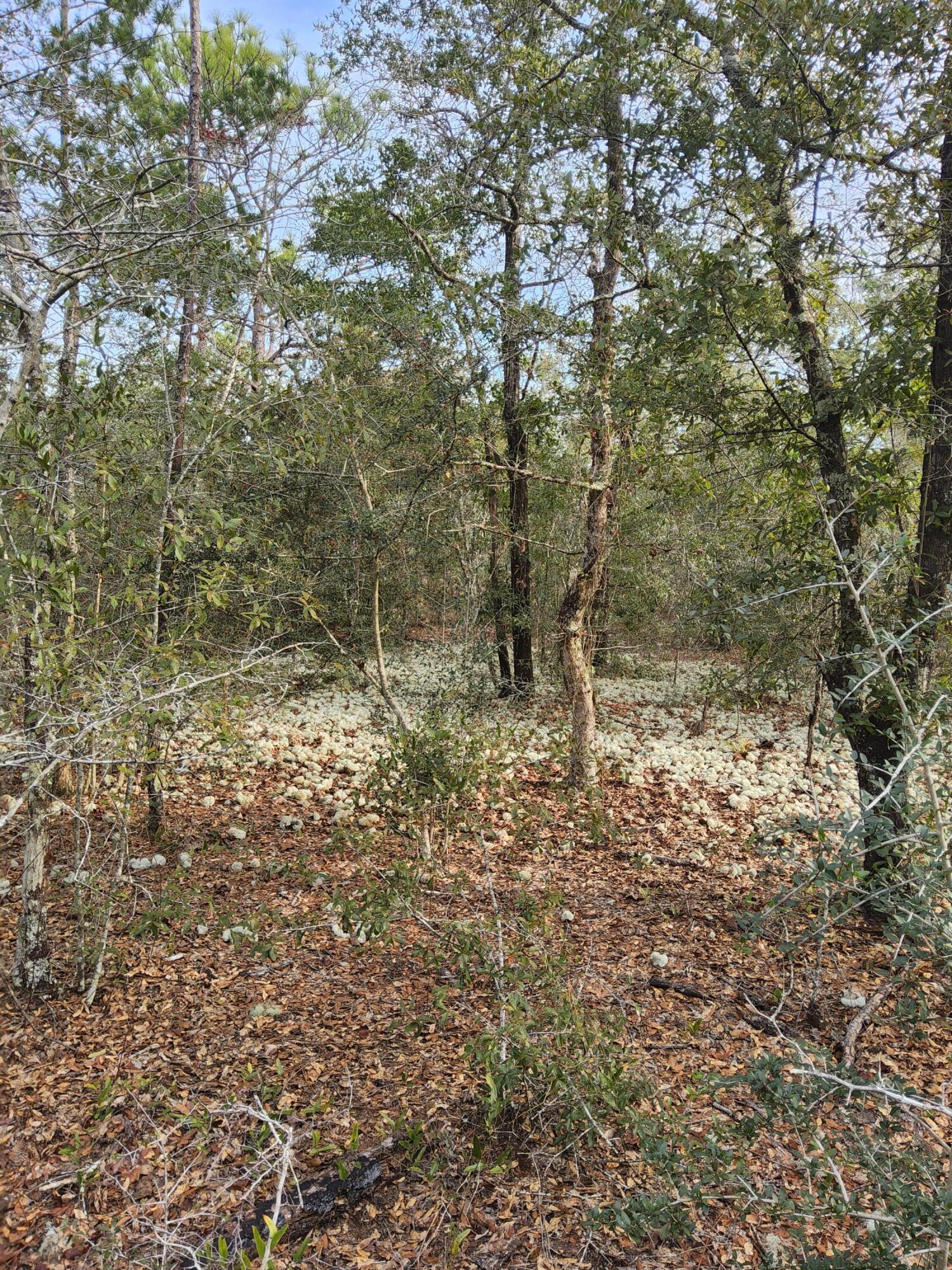 OAKWOOD HILLS UNIT 1 - Land