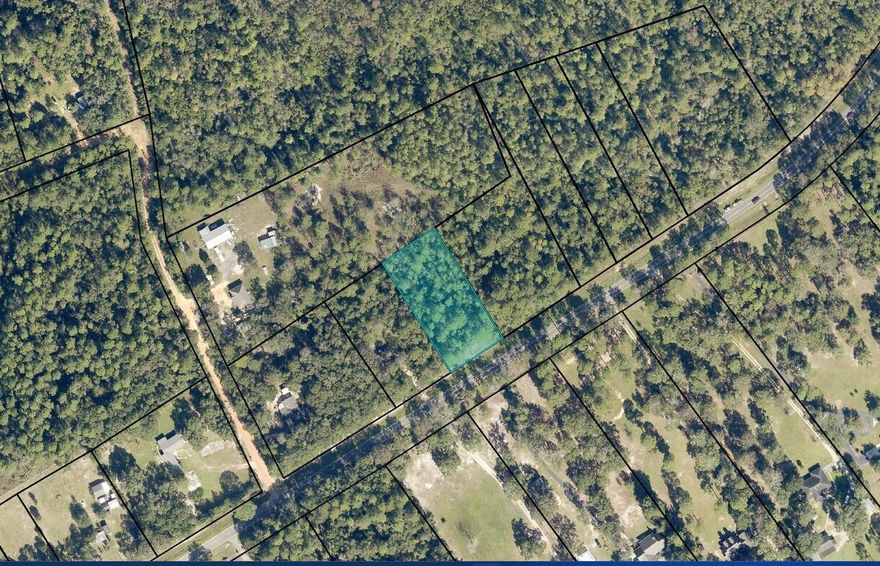 One acre lot on Munson Hwy zoned AG-RR. Zoning allows for ONE  manufactured, modular, SFR, and / or mobile home. RV's ARE allowed as well. Other 1 acre parcels available, Survey available. Septic needed. Electric and water on frontage of Highway. Buyer will need to pay tap fee. The property is within minutes of 2 family parks. Carpenters Park also has a public boat launch
