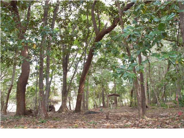 This waterfront secluded half acre lot is surrounded by beautiful forestry and backs up the northern edge of Western Lake allowing boat access to the coastal dune lake of Grayton Beach and the gulf. It is the perfect location along 30A. Conveniently located between Blue Mountain Beach and WaterColor/Seaside, the shops and restaurants of Grayton Beach, Watercolor, & Seaside are just a bike ride away!