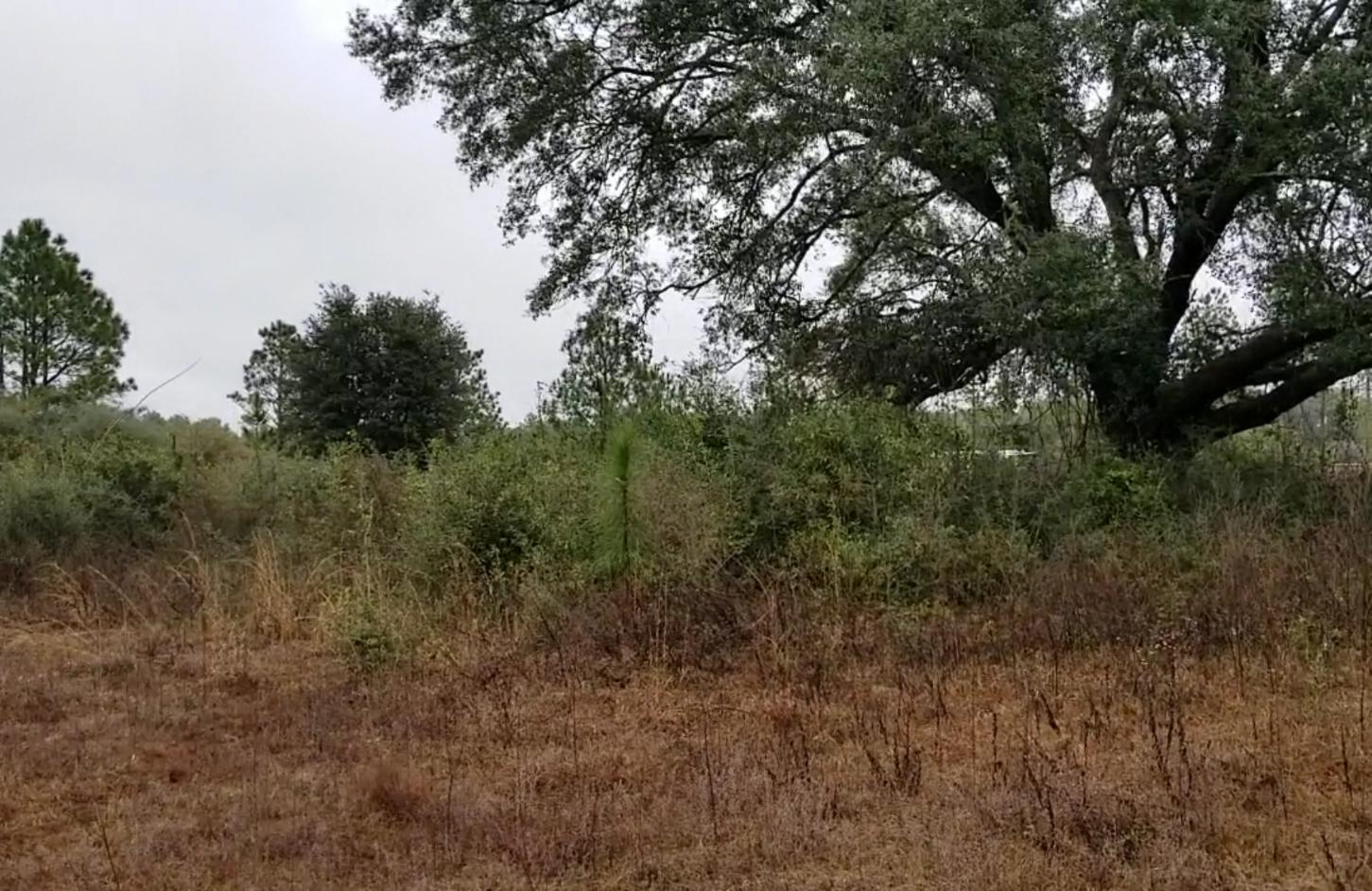 Nice and level, partially cleared land near the end of Lake Silver Rd. A perfect home site for someone looking to build!! Call today to make this one yours!!