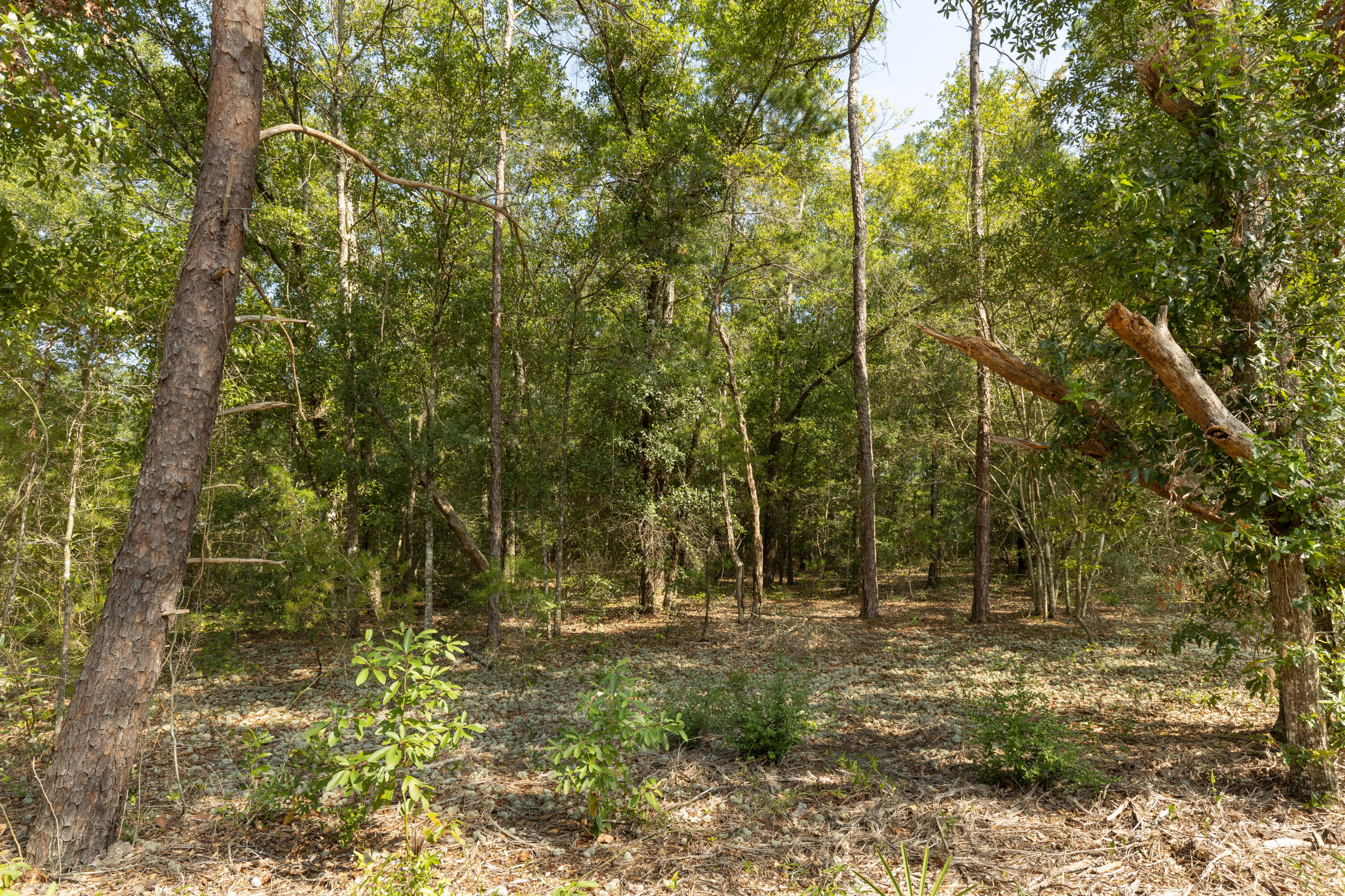 OAKWOOD LAKES EST UNIT 7 OF OAKWOOD HILLS - Land