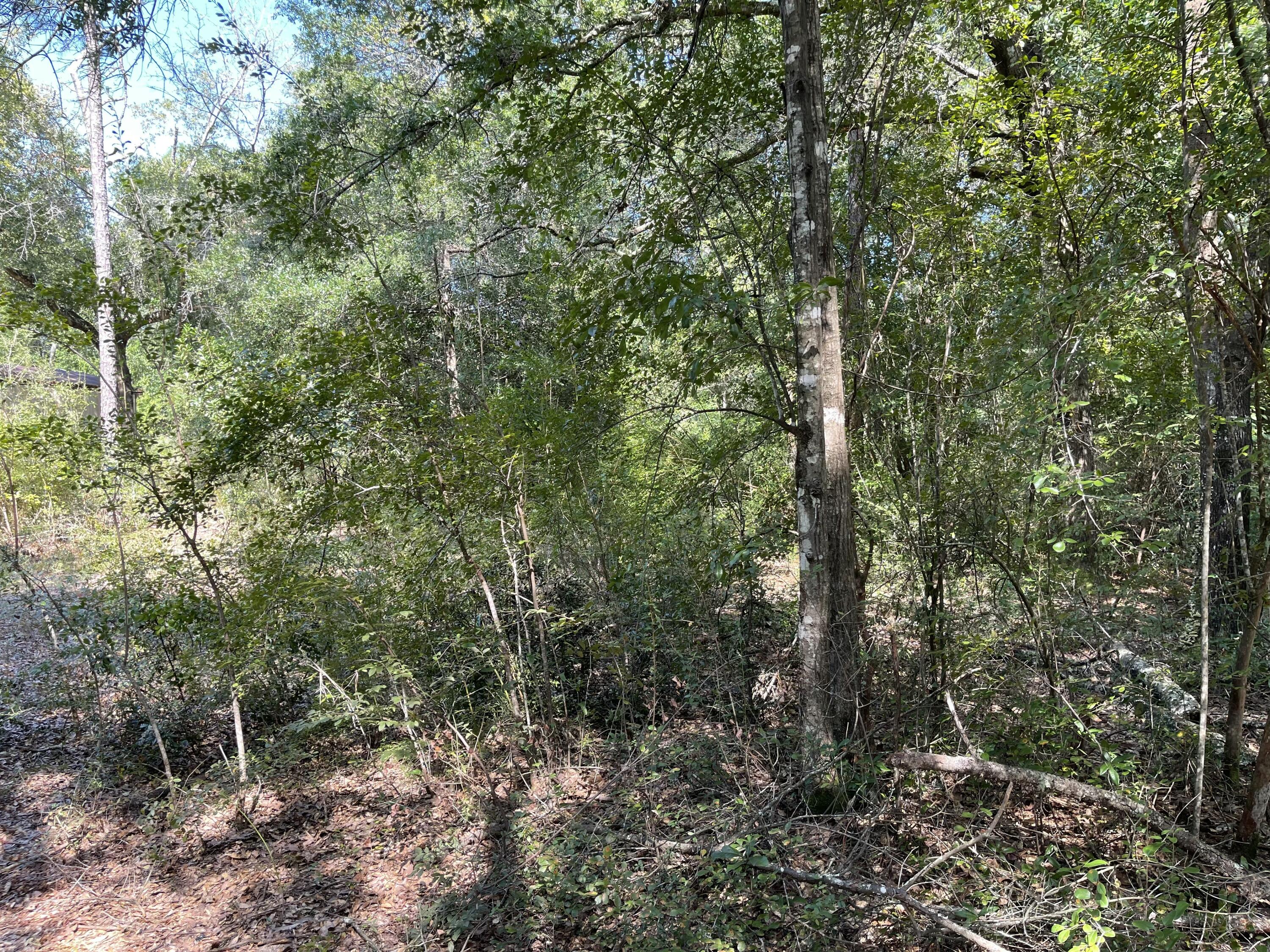 REDLAND ESTATES - Land