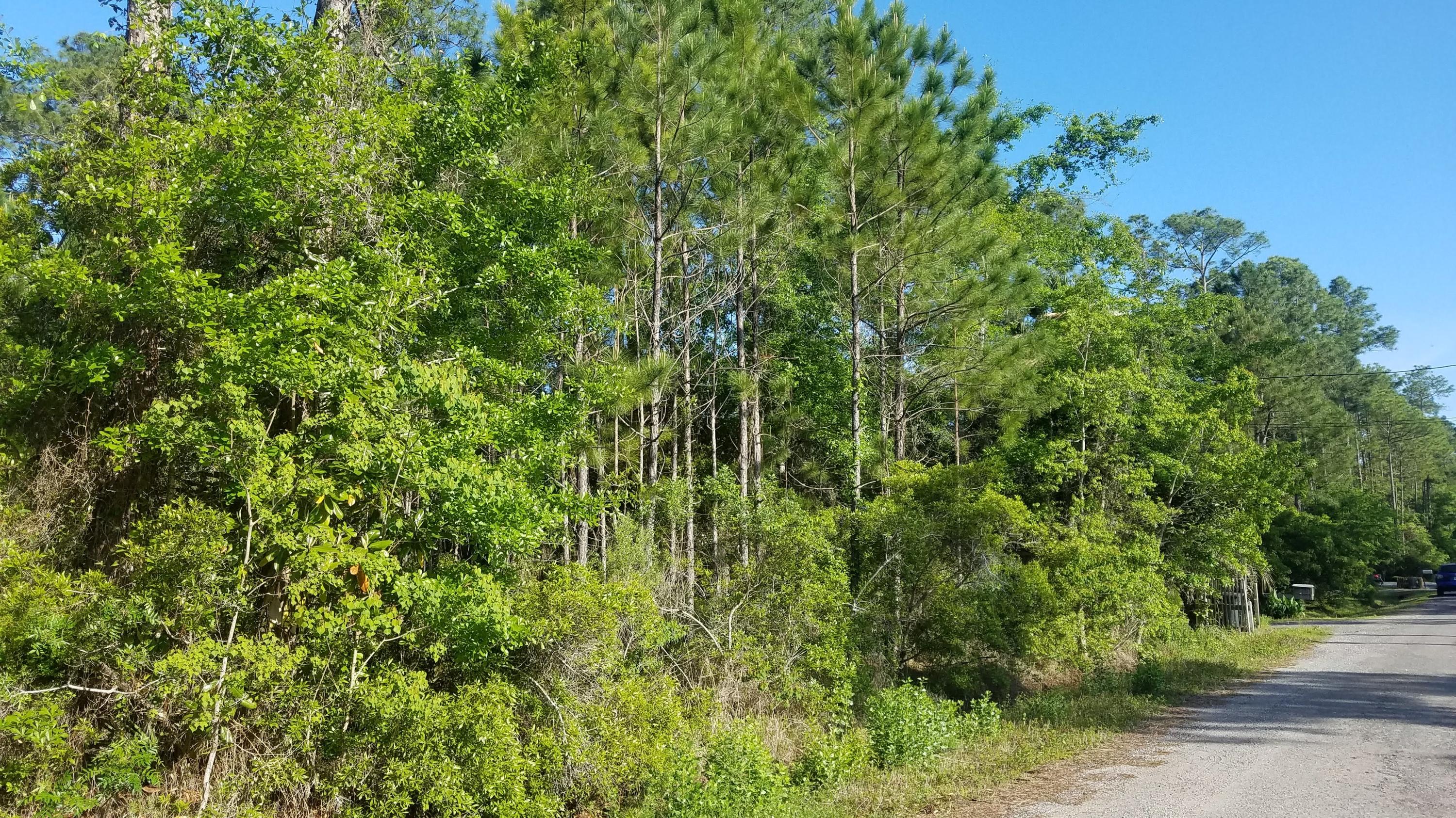 TOWN OF SANTA ROSA - Land