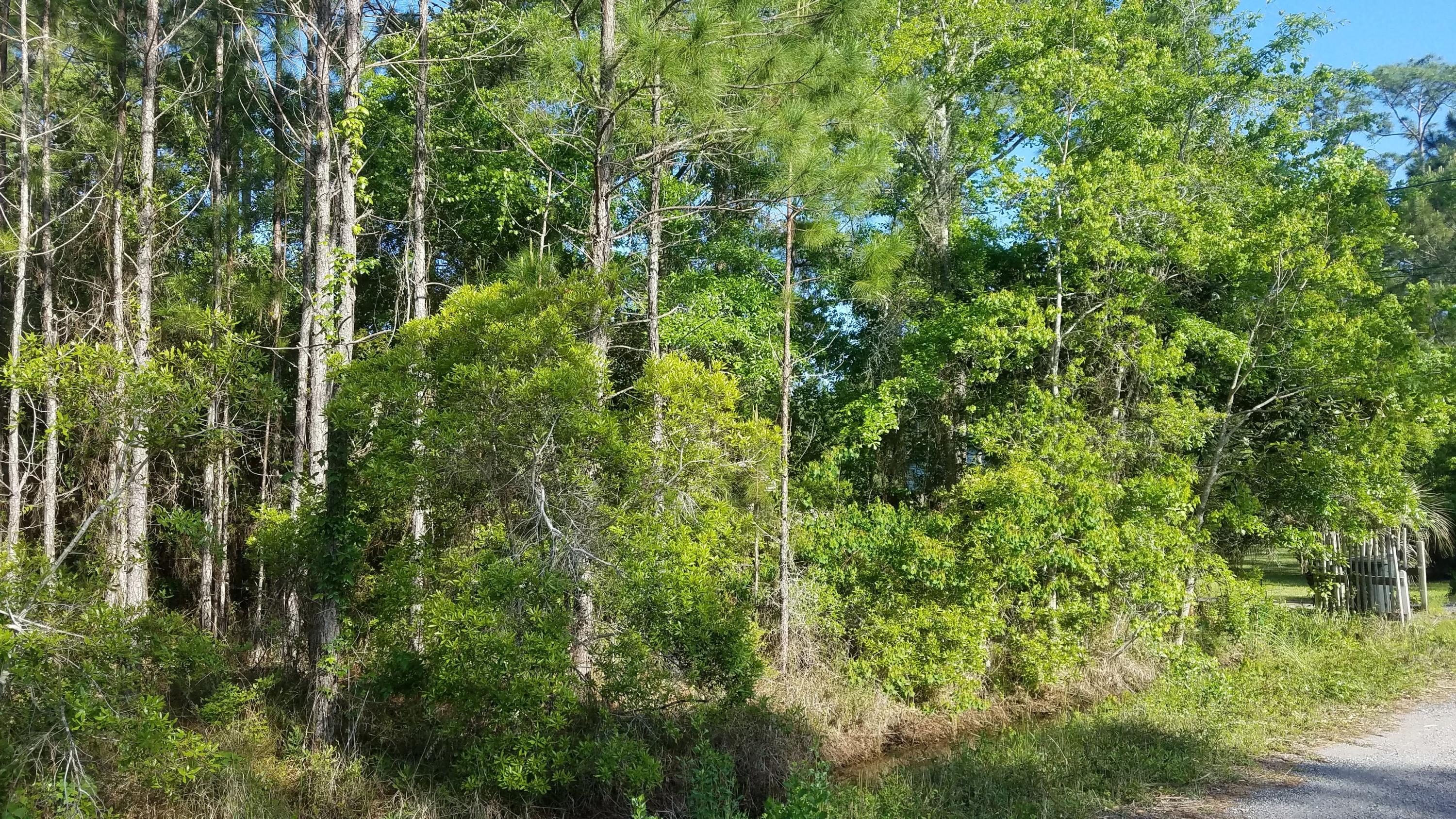 TOWN OF SANTA ROSA - Land