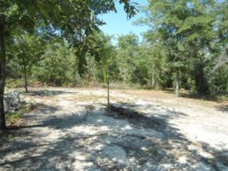 Perfect location for new mobile home or travel trailer or to build that dream home. Property is cleared with electric pole, storage building and carport and water tap. All the work is done.