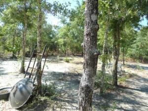 OAKWOOD HILLS UNIT 1 - Land