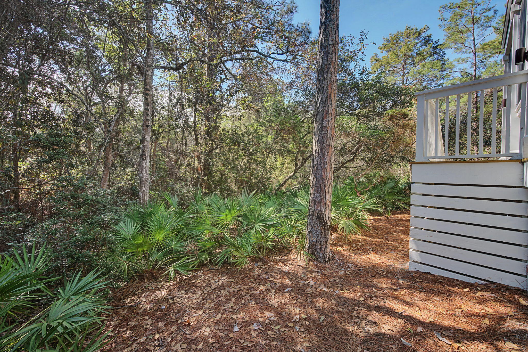 THE HAMMOCKS OF SEAGROVE - Residential