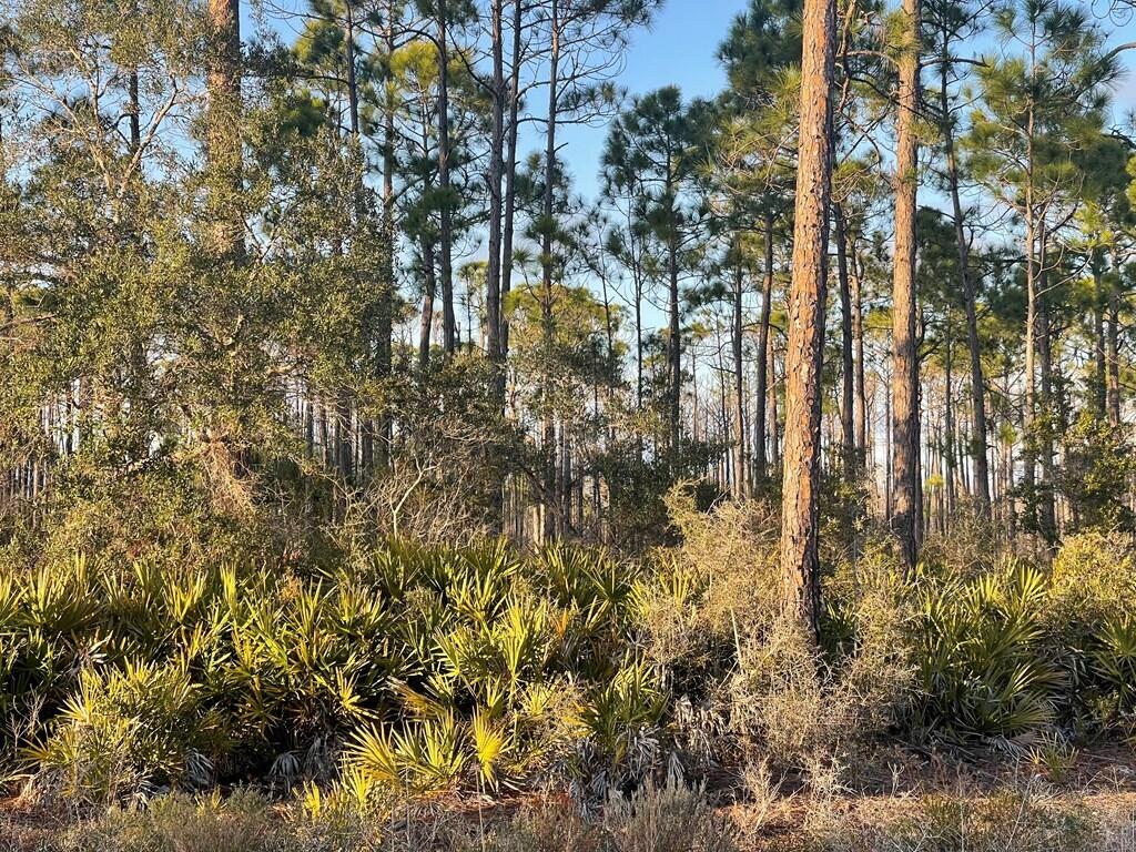 No named subdivision - Land