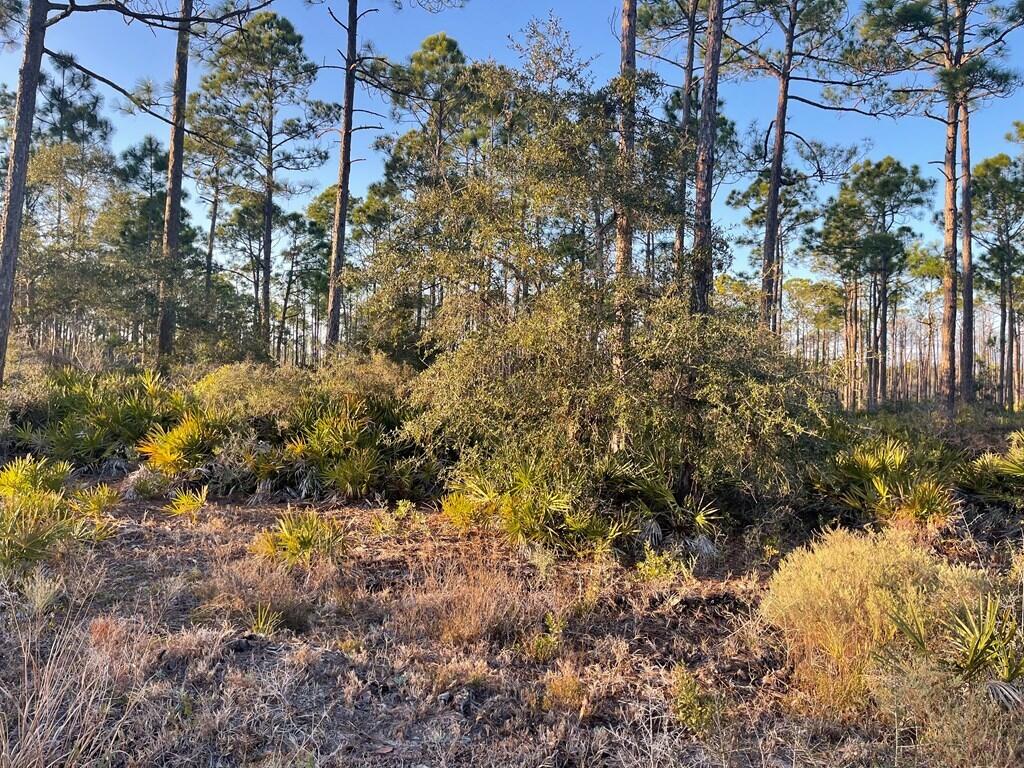 No named subdivision - Land
