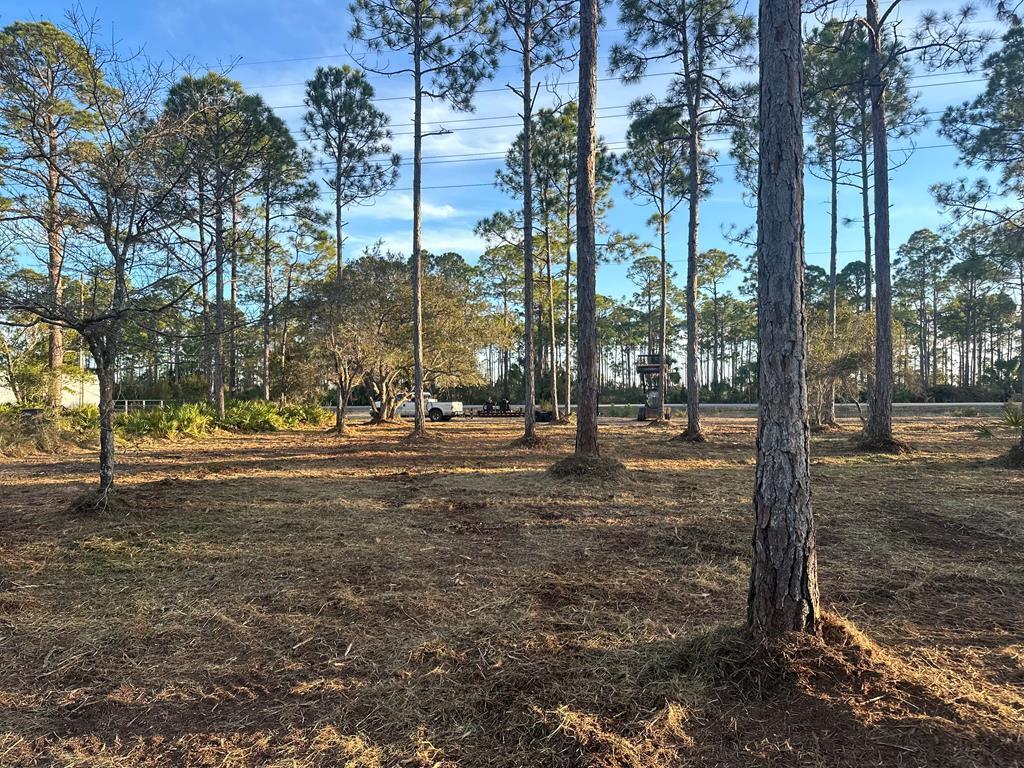 Beautiful .58 acre building lot with 133' road frontage with mature oaks and foliage that was recently gyro-tracked. Added privacy and buffer as there is a small marsh creek at the rear of the property. NO HOA or restrictions other than Gulf County land development regulations. In a great location, and only about a mile east of the World Famous Indian Pass Raw Bar and now famous General Store, one can enjoy the best of the Indian Pass area at a rock bottom price point. Points of interest; Indian Pass Boat Launch, 5 minutes, Cape San Blas, 5 minutes, Port St. Joe, 15 minutes, Apalachicola, 20 minutes, and Mexico Beach 25 minutes away. County water adjacent but septic needed.