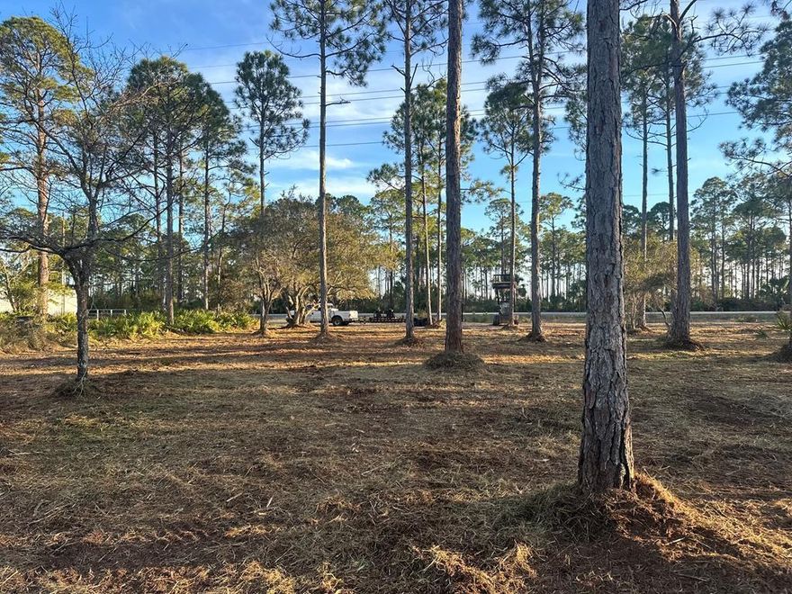 Beautiful .58 acre building lot with 133' road frontage with mature oaks and foliage that was recently gyro-tracked. Added privacy and buffer as there is a small marsh creek at the rear of the property. NO HOA or restrictions other than Gulf County land development regulations. In a great location, and only about a mile east of the World Famous Indian Pass Raw Bar and now famous General Store, one can enjoy the best of the Indian Pass area at a rock bottom price point. Points of interest; Indian Pass Boat Launch, 5 minutes, Cape San Blas, 5 minutes, Port St. Joe, 15 minutes, Apalachicola, 20 minutes, and Mexico Beach 25 minutes away. County water adjacent but septic needed.