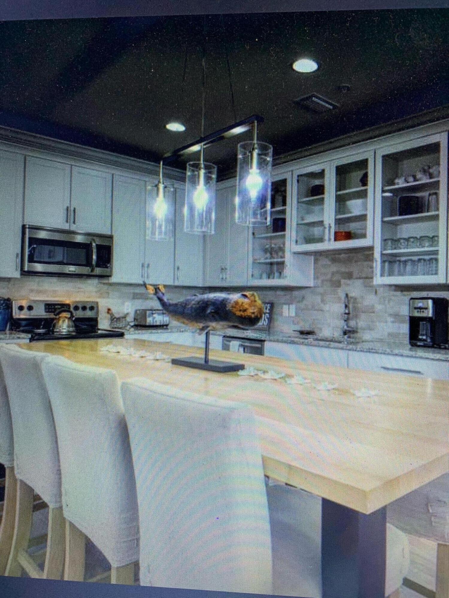 Driftwwod Drive Townhomes - Residential