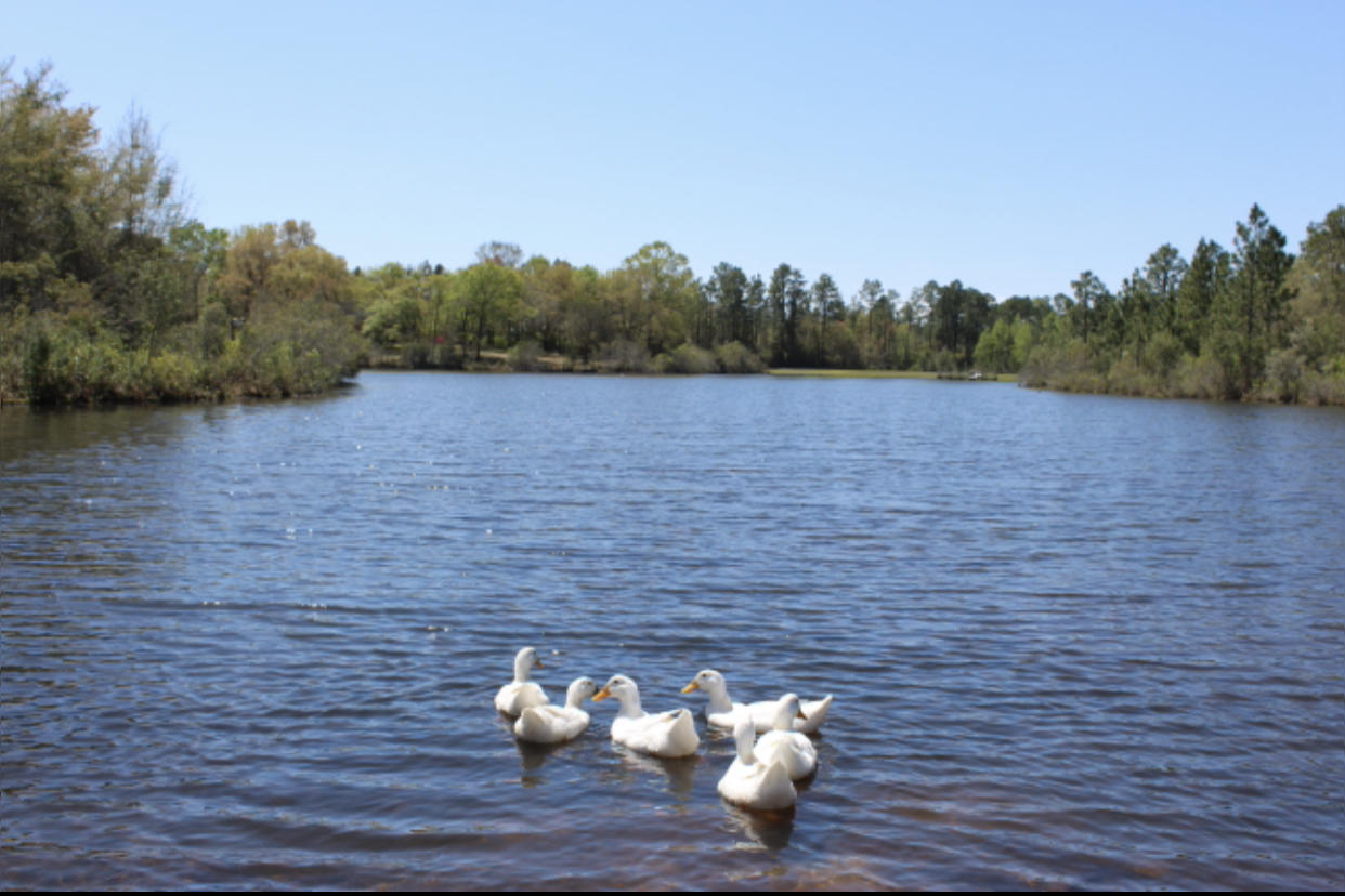 LAKE ARTHUR EST PH I - Residential