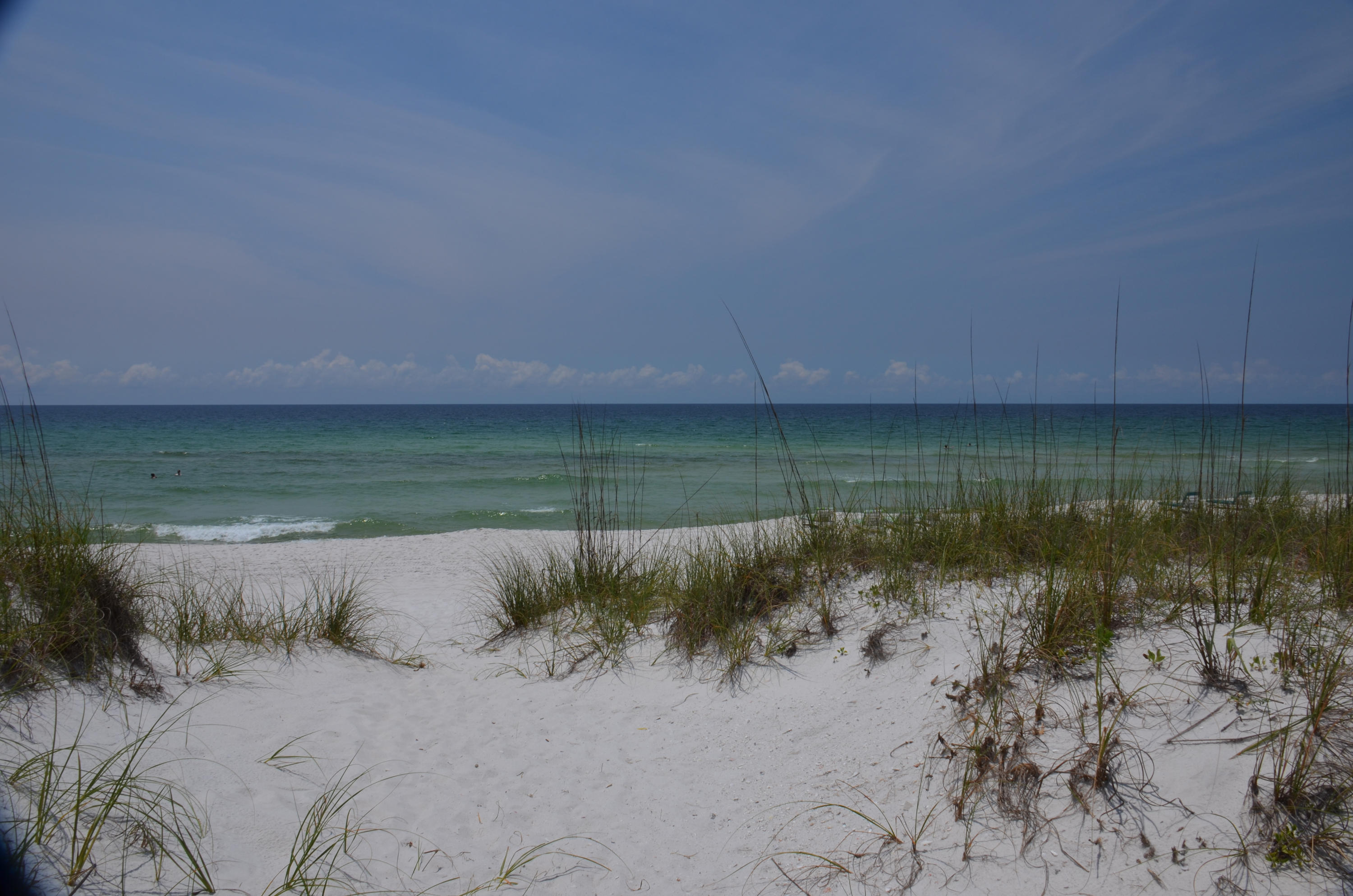 PALMETTO LAKE PRESERVE - Land