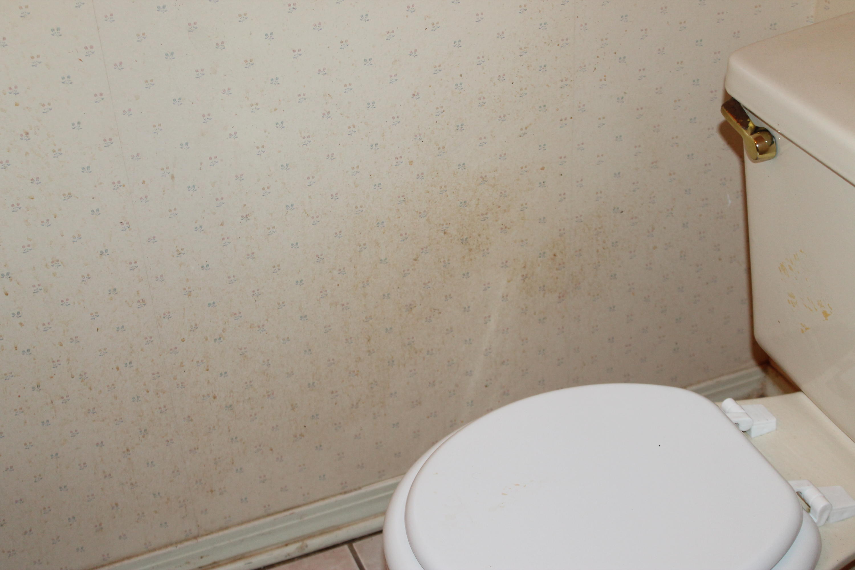 PORT DIXIE MANOR - Residential