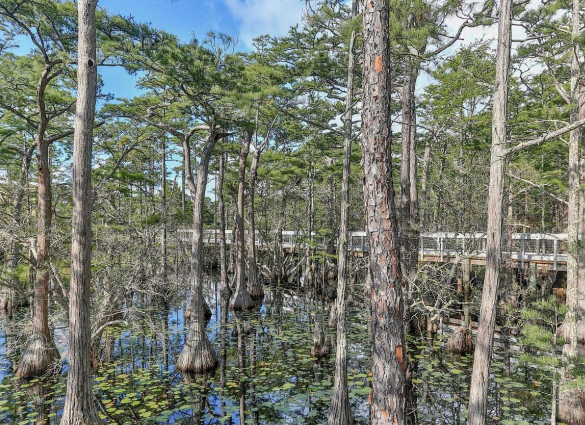 CYPRESS DUNES - Residential