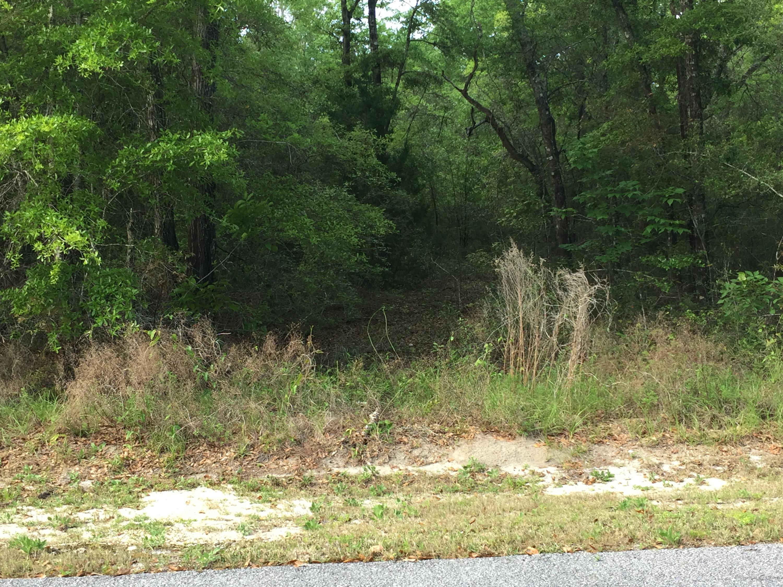 BEAR CREEK COTTAGES FIRST ADDITION - Land