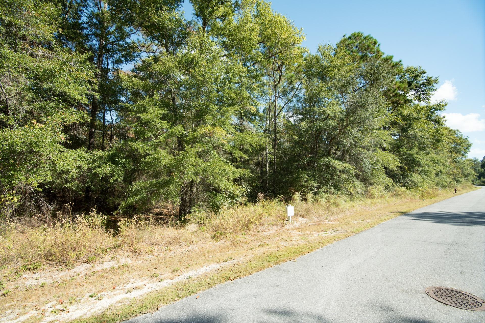 BEAR CREEK COTTAGES FIRST ADDITION - Land