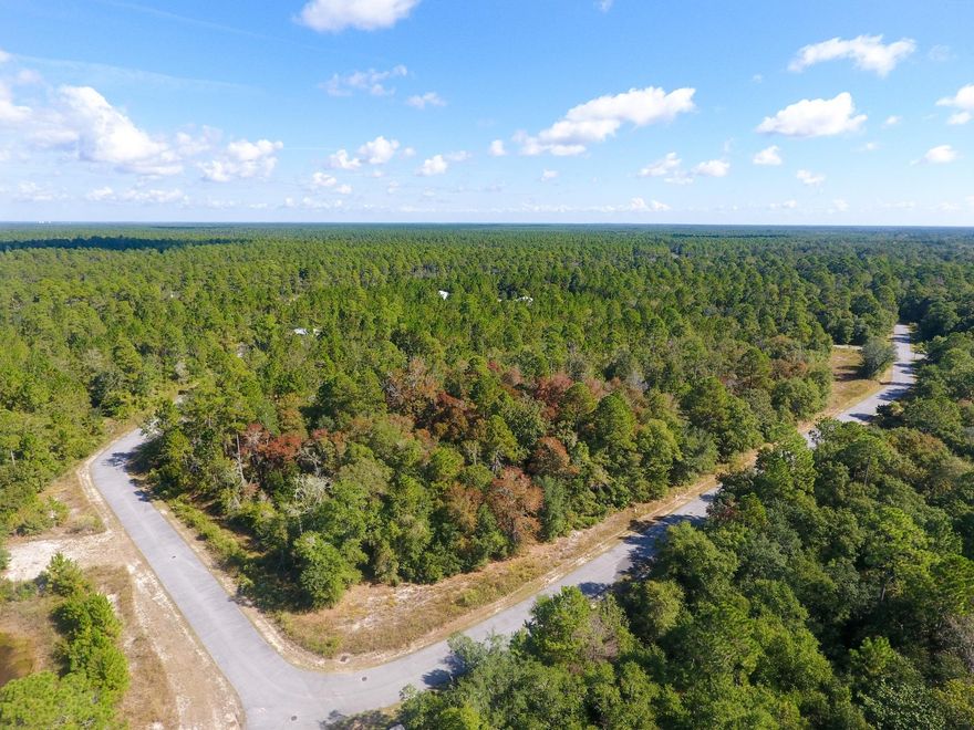 This perfect .255 acre lot measures about 68x162 and is only 8 lots down from the main artery and is an easy walk to the community pool. Be one of the first few homeowners in Freeports low-HOA Bear Creek Cottages subdivision off Black Creek Blvd, with no build out time-frame. Lot approved for 1 single family residence with no limits on square footage at this time, but must build at least a 2 bedroom, and if feasibility is there in lot dimensions and req. of design code, you may build 1 ancillary apartment as well. Bear Creek not only offers a luxurious entrance, you will find a community pool to relax by and dive into on our hot summer days. Rentals allowed here. With only 4 occupied homesites - it will feel like your own! Come be a part of new growth and opportunity in Freeport, FL