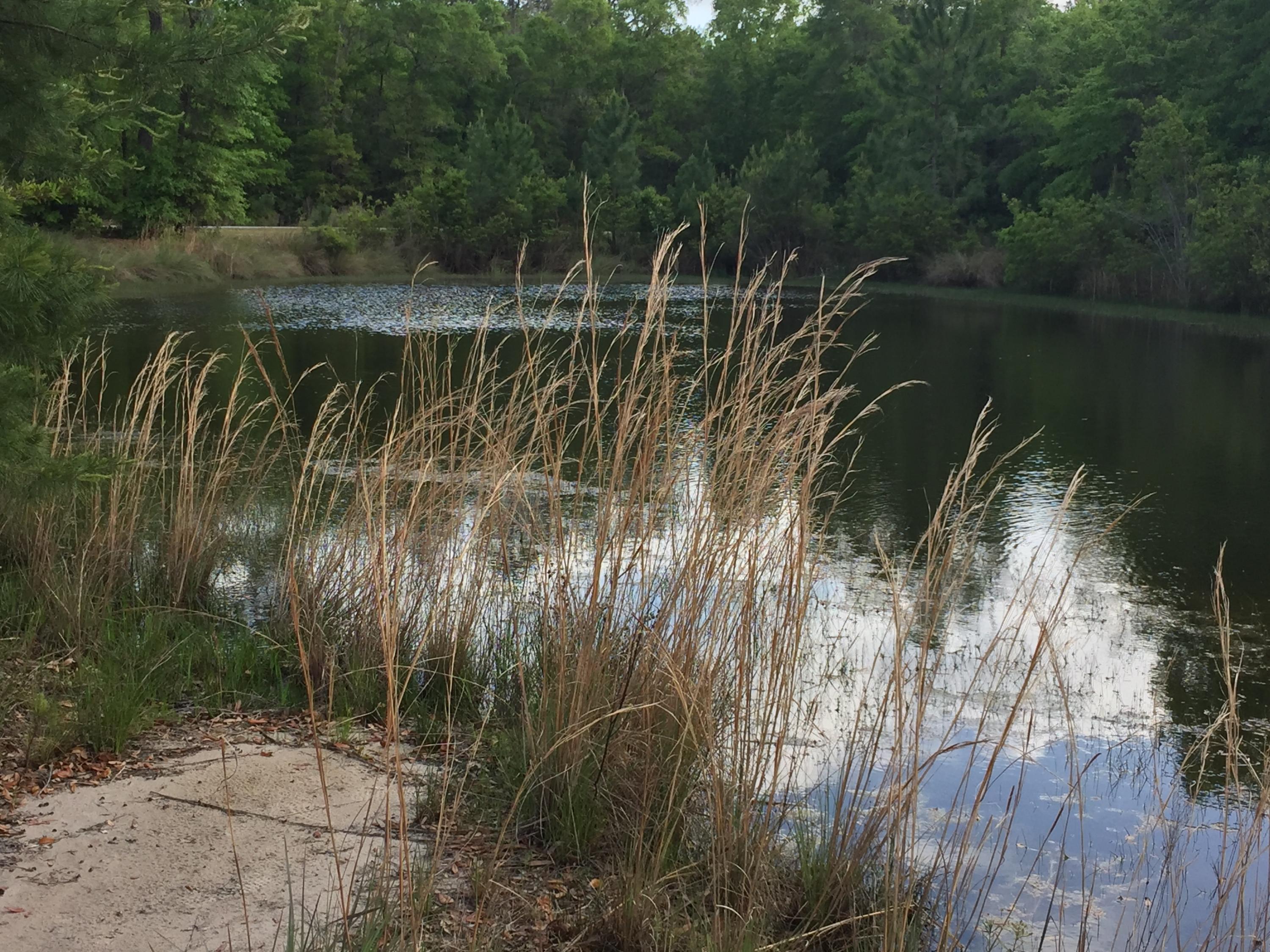 BEAR CREEK COTTAGES FIRST ADDITION - Land