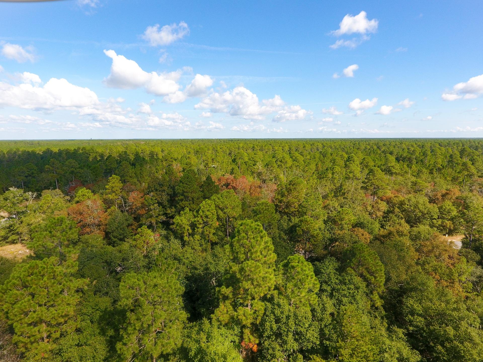 BEAR CREEK COTTAGES FIRST ADDITION - Land