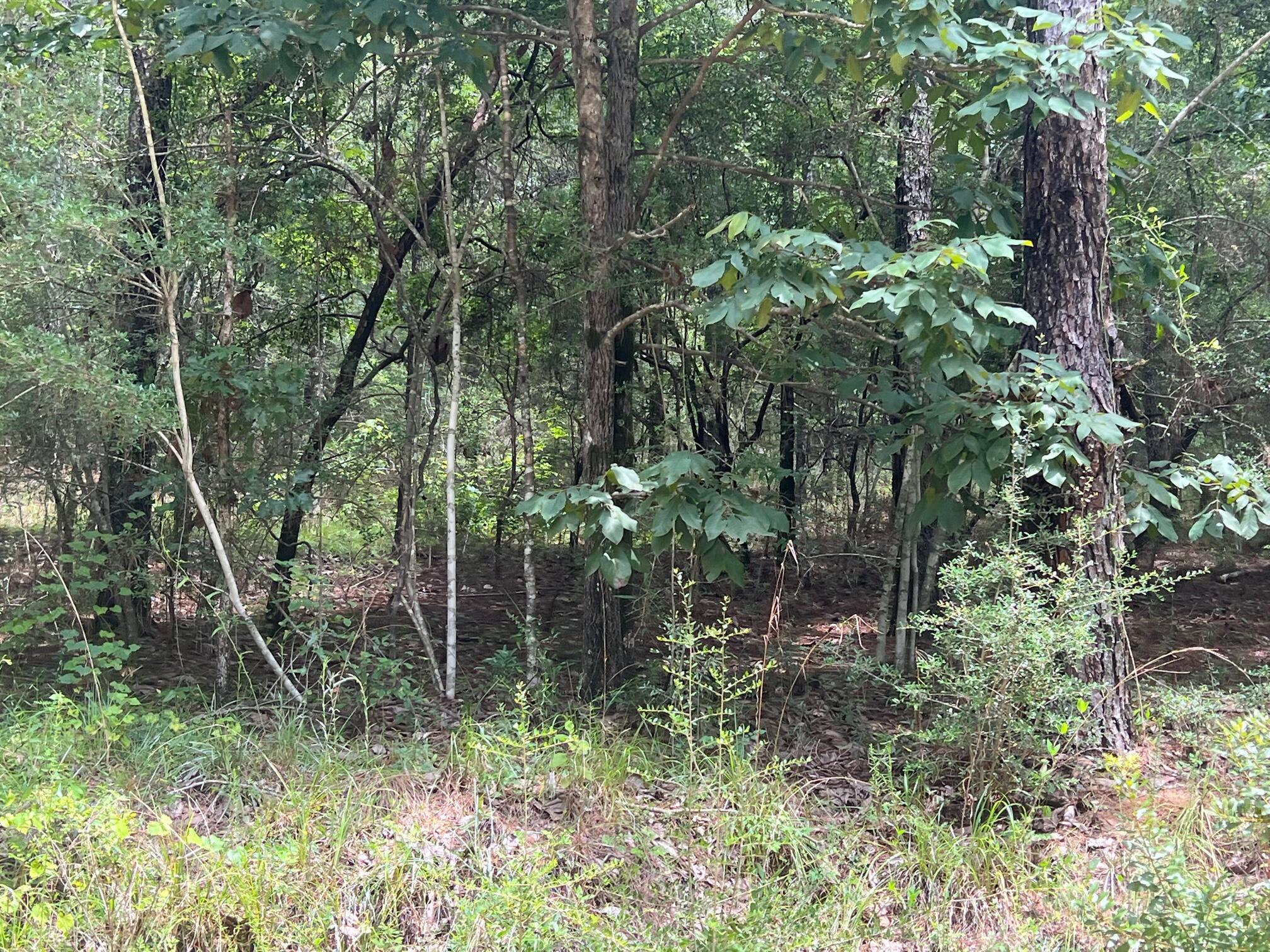 Spring Hill Farms S/D - Land