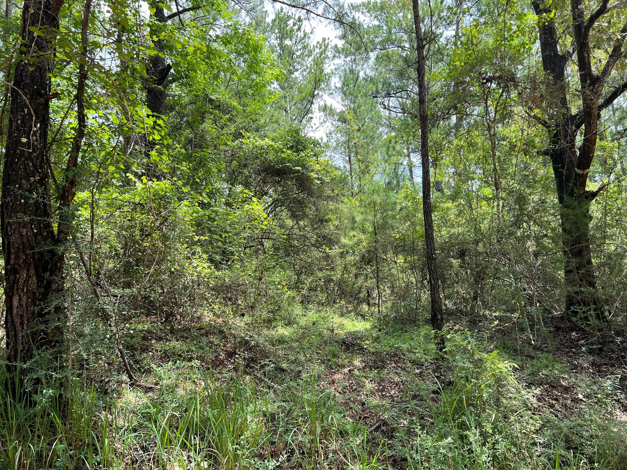 Spring Hill Farms S/D - Land