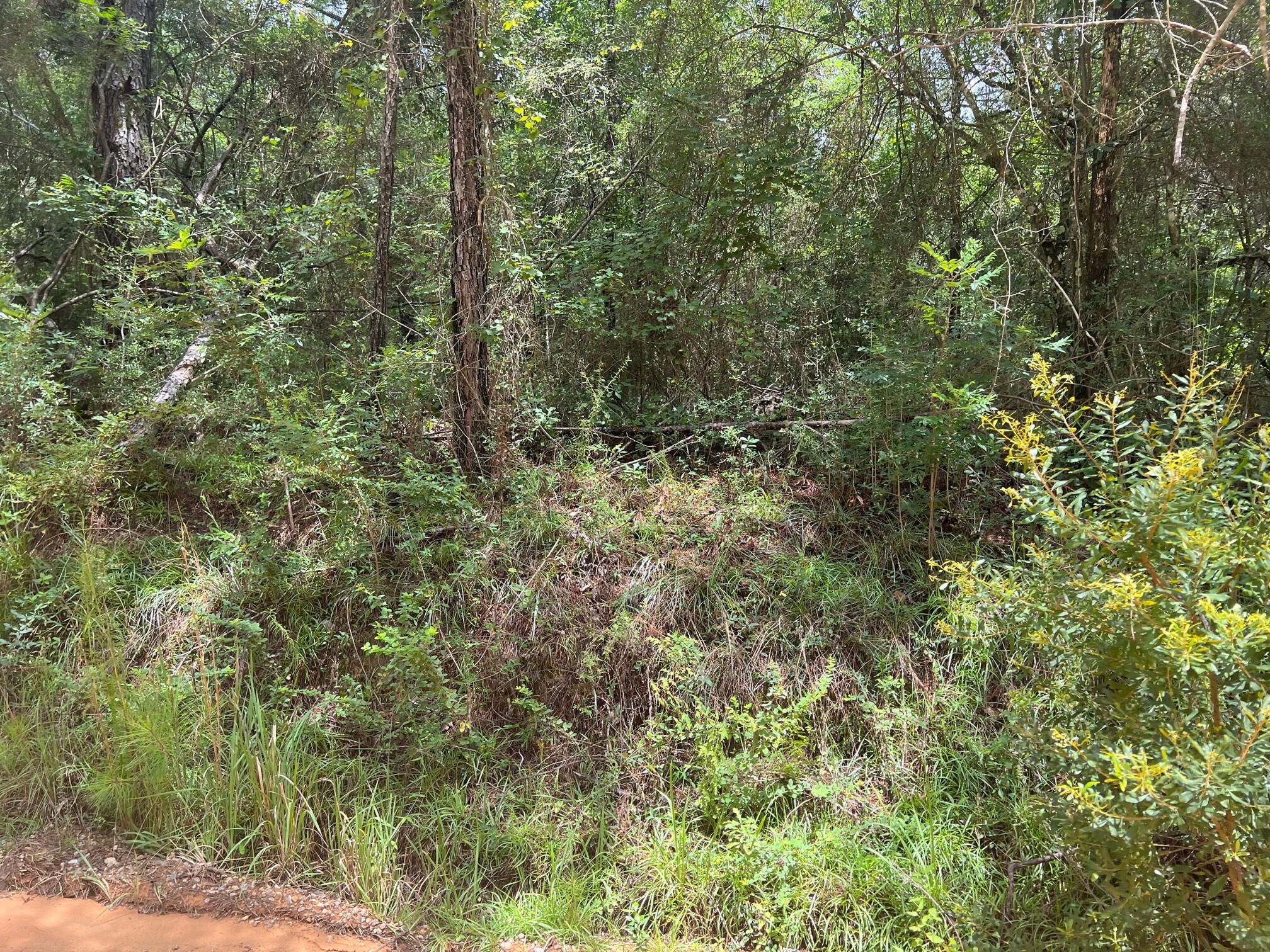 Spring Hill Farms S/D - Land