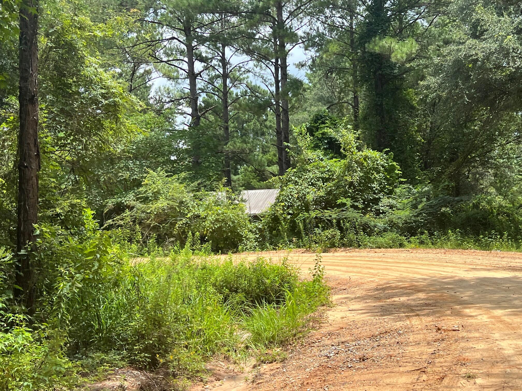 Spring Hill Farms S/D - Land