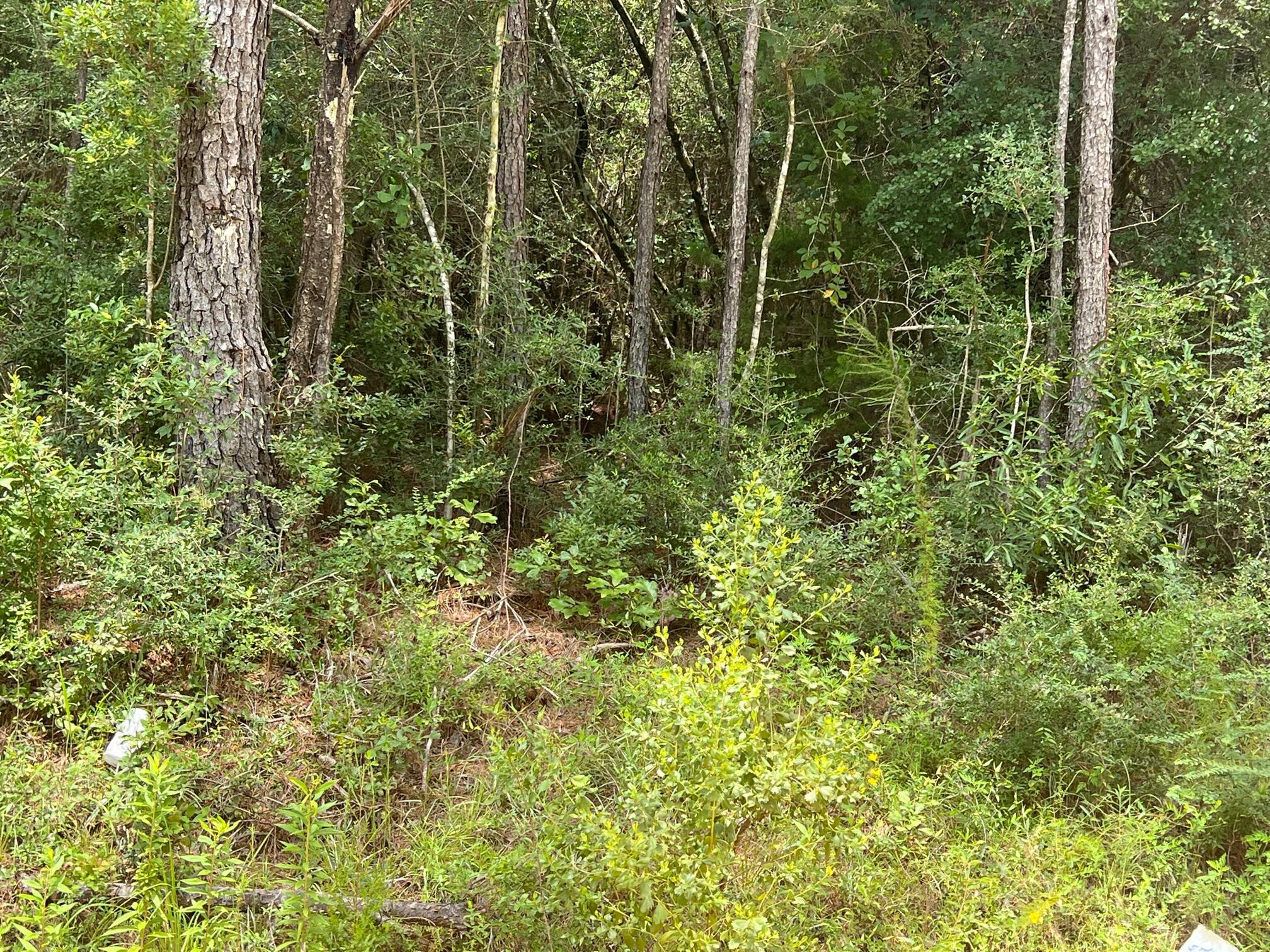 Spring Hill Farms S/D - Land